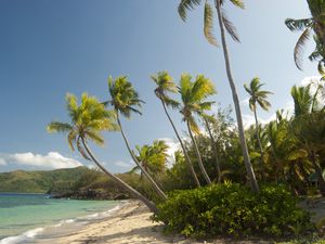 Preview wallpaper maldives, tropical, beach, palm trees