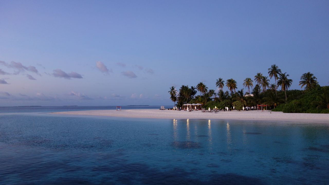 Wallpaper maldives, tropical, beach, palm trees, evening