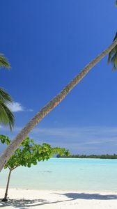 Preview wallpaper maldives, tropical, beach, palm trees
