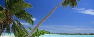 Preview wallpaper maldives, tropical, beach, palm trees