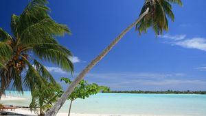 Preview wallpaper maldives, tropical, beach, palm trees