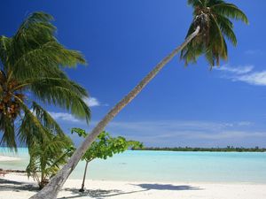 Preview wallpaper maldives, tropical, beach, palm trees