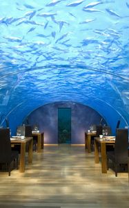 Preview wallpaper maldives, tropical, interior, cafe