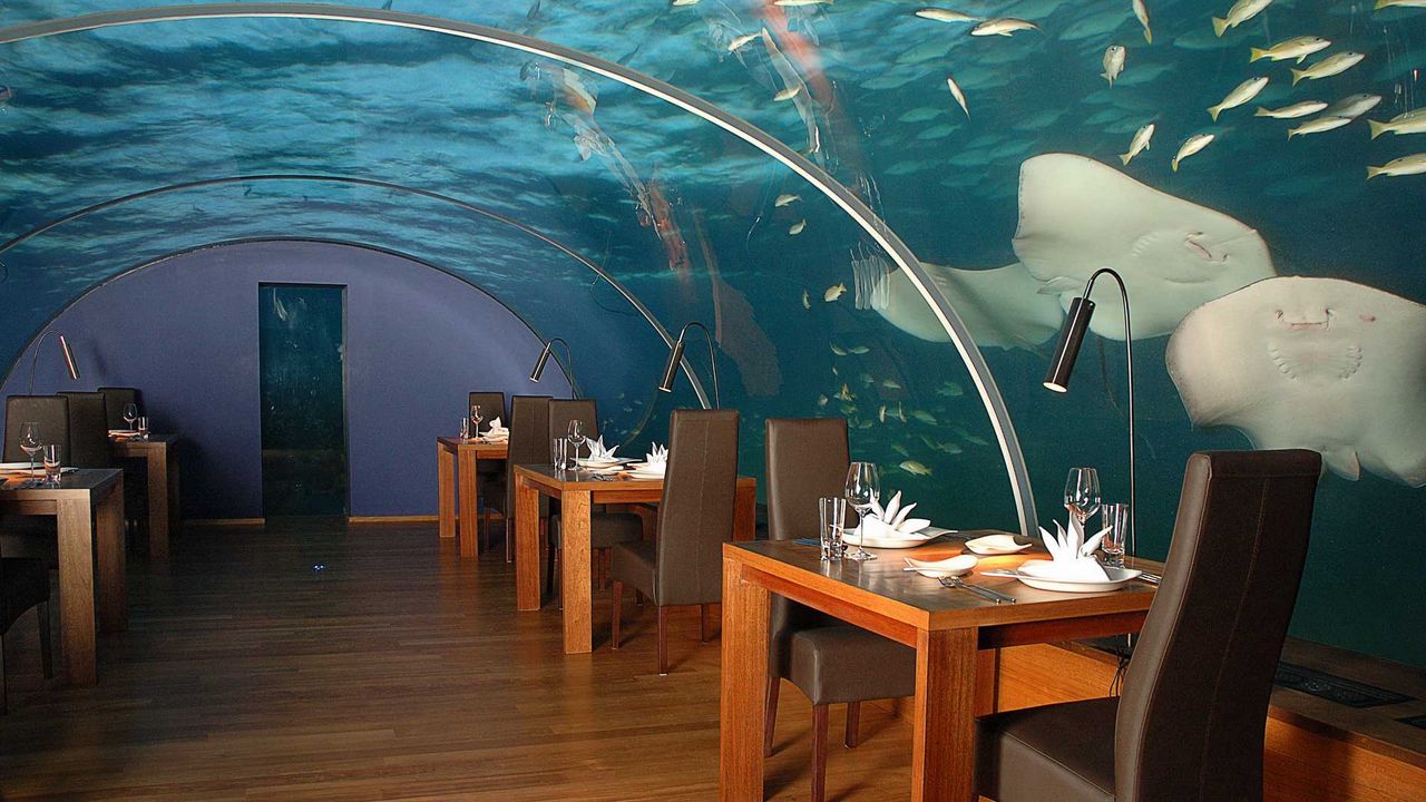 Wallpaper maldives, tropical, underwater restaurant