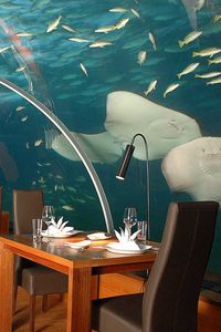 Preview wallpaper maldives, tropical, underwater restaurant