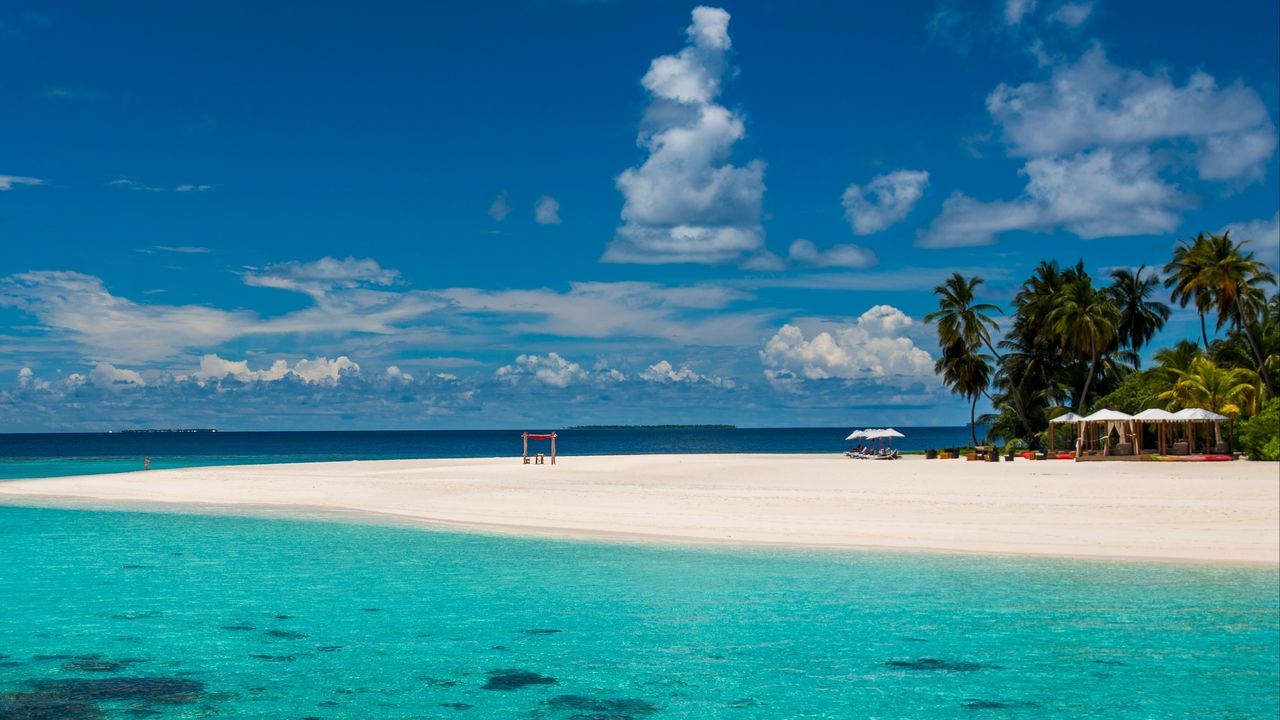 Wallpaper maldives, tropics, beach, palm trees, resort