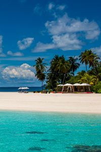 Preview wallpaper maldives, tropics, beach, palm trees, resort