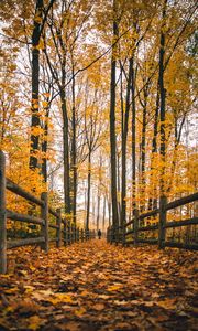 Preview wallpaper man, alone, autumn, fence, nature