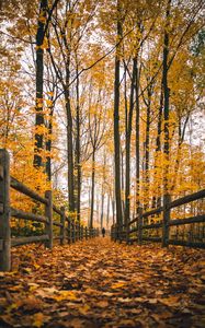 Preview wallpaper man, alone, autumn, fence, nature