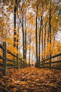 Preview wallpaper man, alone, autumn, fence, nature