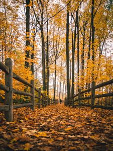 Preview wallpaper man, alone, autumn, fence, nature