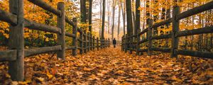 Preview wallpaper man, alone, autumn, fence, nature