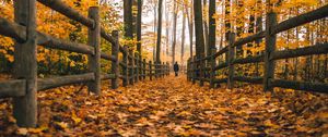 Preview wallpaper man, alone, autumn, fence, nature