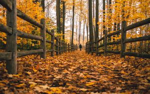 Preview wallpaper man, alone, autumn, fence, nature