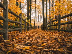 Preview wallpaper man, alone, autumn, fence, nature