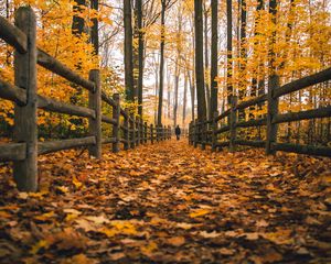 Preview wallpaper man, alone, autumn, fence, nature