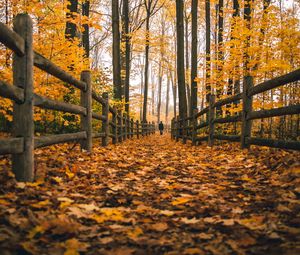 Preview wallpaper man, alone, autumn, fence, nature