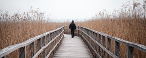 Preview wallpaper man, alone, bridge, nature