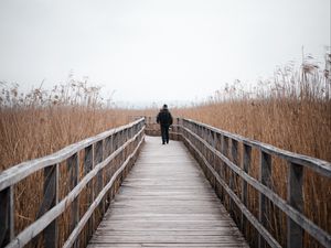 Preview wallpaper man, alone, bridge, nature