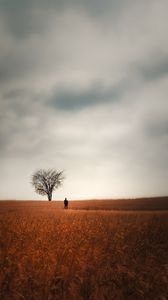 Preview wallpaper man, alone, field, tree