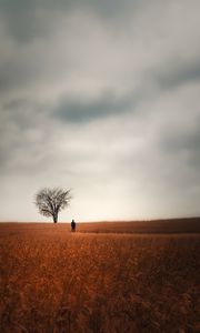 Preview wallpaper man, alone, field, tree