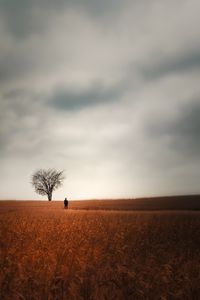 Preview wallpaper man, alone, field, tree