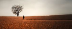 Preview wallpaper man, alone, field, tree