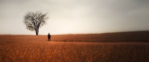 Preview wallpaper man, alone, field, tree