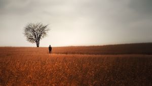 Preview wallpaper man, alone, field, tree