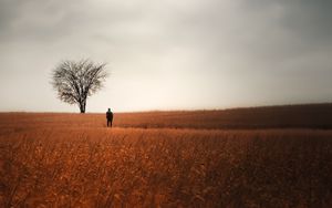 Preview wallpaper man, alone, field, tree