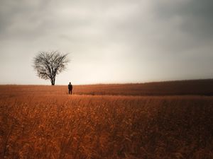 Preview wallpaper man, alone, field, tree