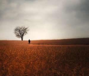 Preview wallpaper man, alone, field, tree