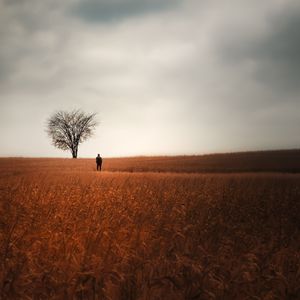 Preview wallpaper man, alone, field, tree