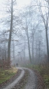 Preview wallpaper man, alone, fog, road, trees