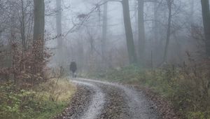 Preview wallpaper man, alone, fog, road, trees