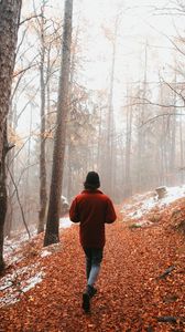 Preview wallpaper man, alone, forest, fog, walk