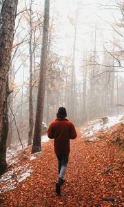 Preview wallpaper man, alone, forest, fog, walk