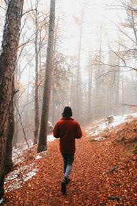 Preview wallpaper man, alone, forest, fog, walk