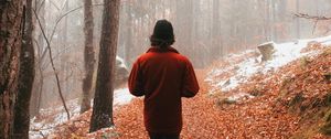 Preview wallpaper man, alone, forest, fog, walk