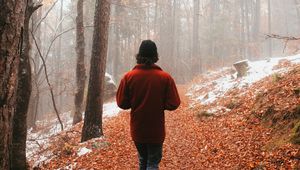 Preview wallpaper man, alone, forest, fog, walk
