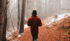 Preview wallpaper man, alone, forest, fog, walk