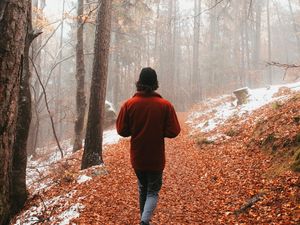 Preview wallpaper man, alone, forest, fog, walk