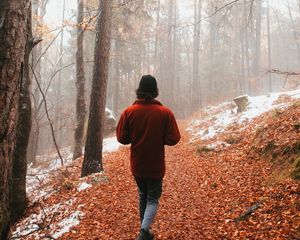 Preview wallpaper man, alone, forest, fog, walk