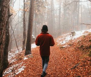 Preview wallpaper man, alone, forest, fog, walk