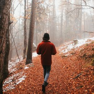 Preview wallpaper man, alone, forest, fog, walk