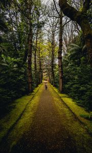 Preview wallpaper man, alone, forest, path, walk