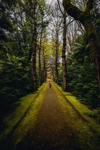 Preview wallpaper man, alone, forest, path, walk