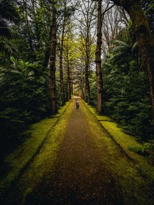 Preview wallpaper man, alone, forest, path, walk
