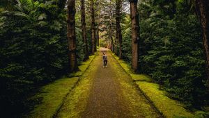 Preview wallpaper man, alone, forest, path, walk