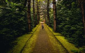 Preview wallpaper man, alone, forest, path, walk